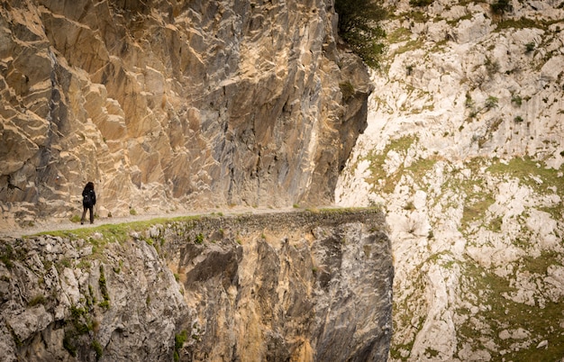 Hiking trail in Cares river gorge, Picos de Europa between Asturias and Leon.