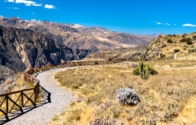 Sentiero escursionistico al canyon del colca in perù