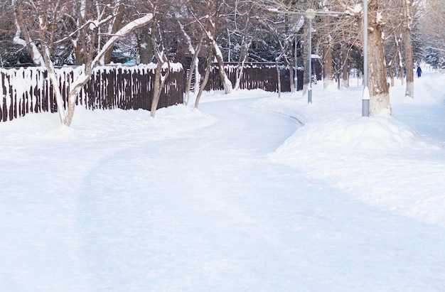 写真 冬の日の雪に覆われた美しい冬の風景のハイキング コース木々 の間の雪のトンネル