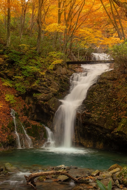 写真 秋の川の近くのハイキングコース