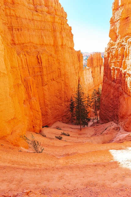 Hiking trail at queens garden trial at bryce canyon national park in utah