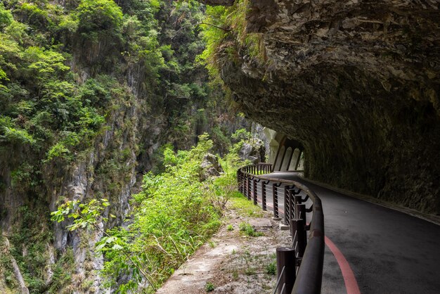 Photo hiking trail in taroko gorge of hualien taroko of taiwan