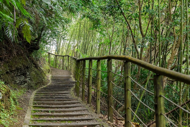 台湾のタオユアンにあるXiao Wulaiのハイキングコース