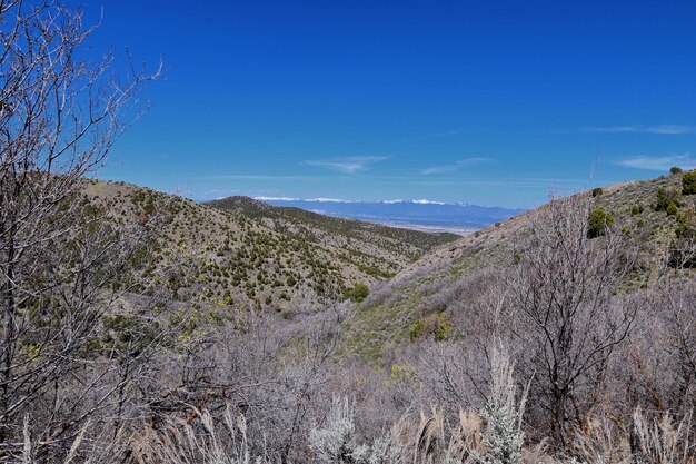 Фото Пешеходные тропы в oquirrh wasatch rocky mountains юта желтая вилка и роуз каньон солт-лейк-сити