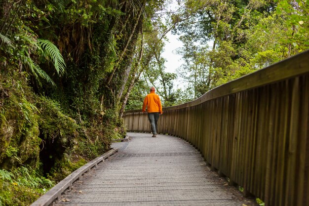 Hiking and tramping in New Zealand. Hiking and adventure concept