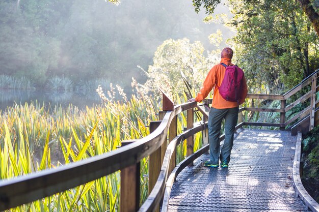 Hiking and tramping in New Zealand. Hiking and adventure concept