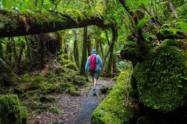 ニュージーランドでのハイキングとトランプ。ハイキングと冒険の概念
