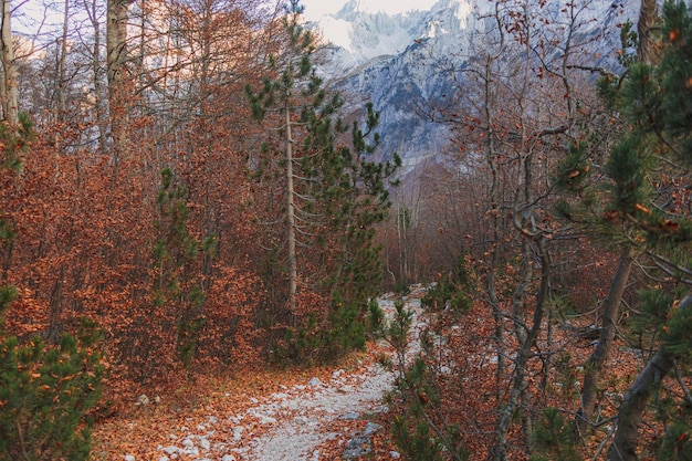 Hiking and trekking trails of Valbona Pass Albania