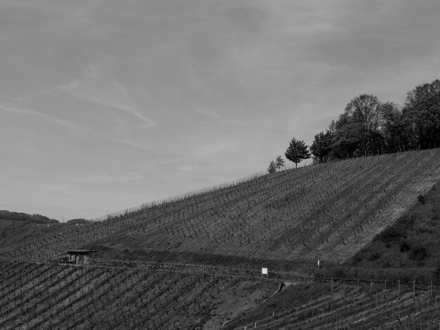 Hiking in trier