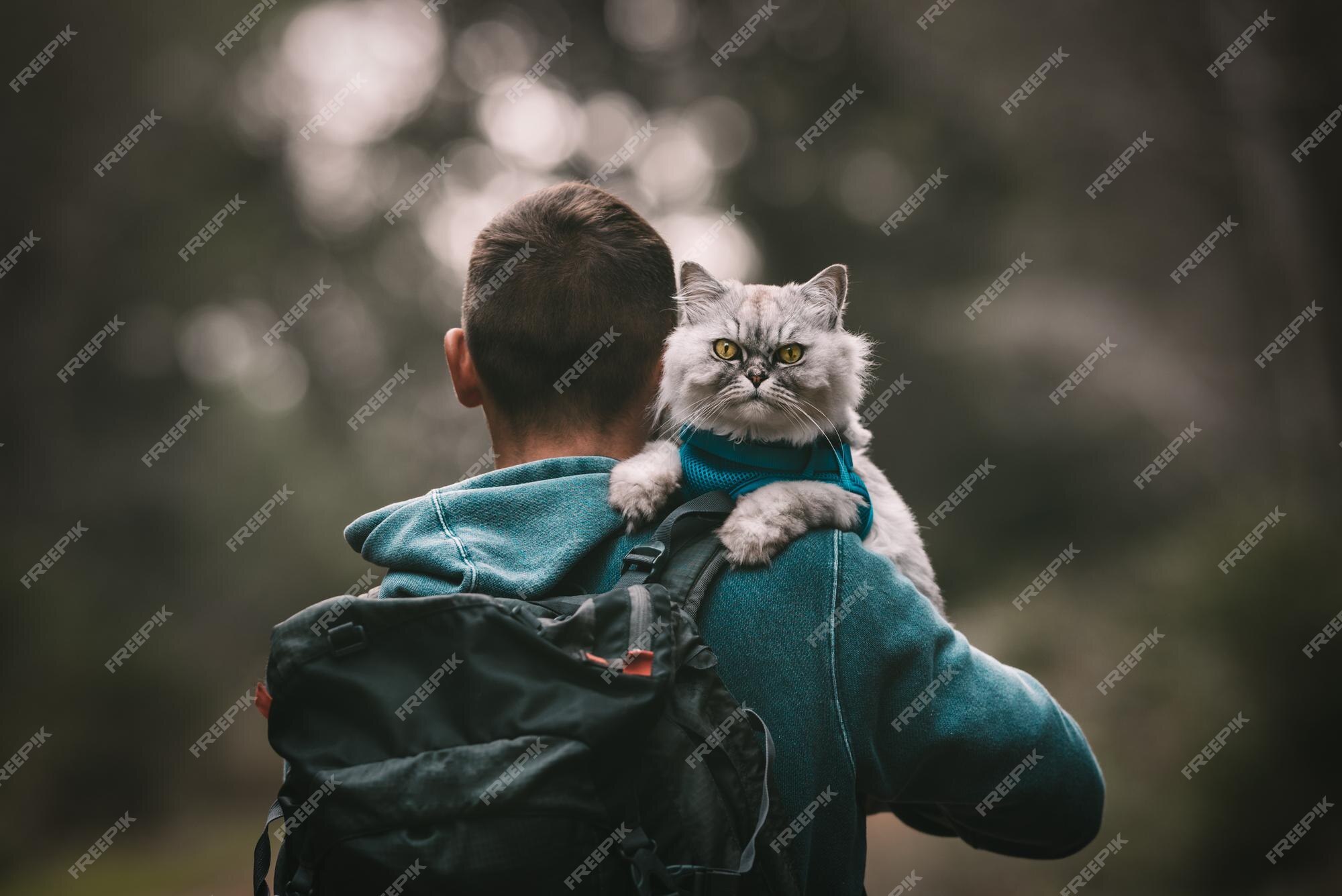 Premium Photo | Hiking with cat cat sitting on the owner shoulder outdoors  people and pets lifestyle