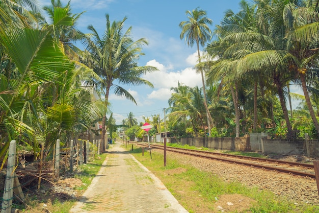 Hikkaduwa, Sri Lanka. Spoorweg.