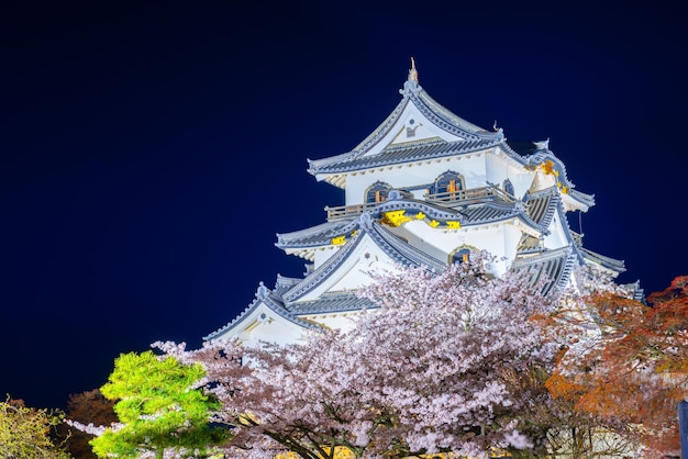 Hikone Castle tijdens het lenteseizoen in Hikone Japan