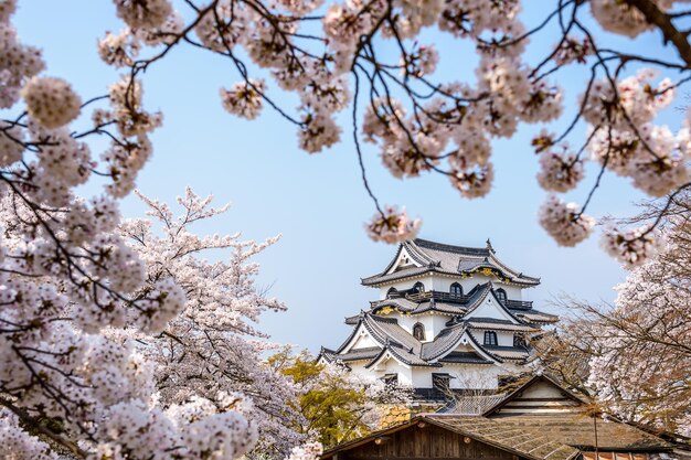 Hikone castle