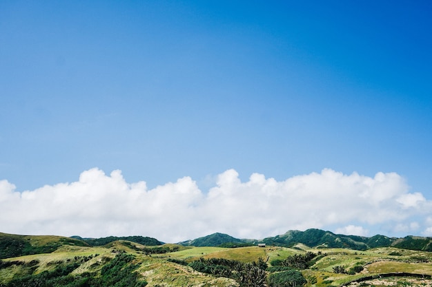 Photo hill landscape