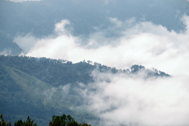 Hill mountain foggy in morning