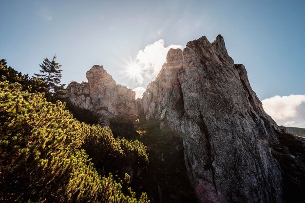 Hill Sivy Vrch en rotsen genaamd Radove Skaly in West-Tatra Slowakije West-Tatra in Slowakije berglandschap