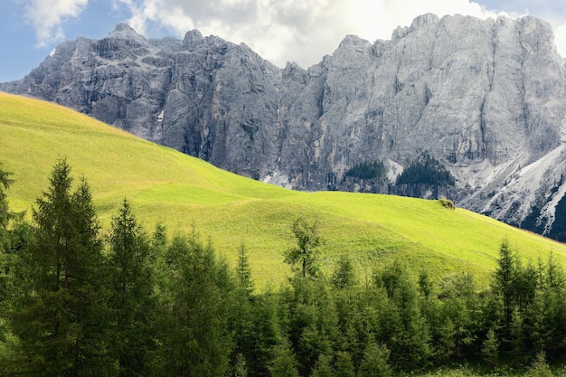 이탈리아 Dolomites의 신선한 녹색 잔디가 있는 언덕