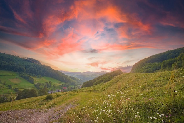 The hills are covered with green grass and forest in the mountains at sunrise in warm sunny tones blue sky with beautiful clouds in summer mountain background countryside