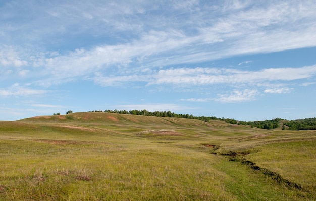 Hills covered with grass and shrubs in the spurs of the Ural mountains Bashkortostan Russia