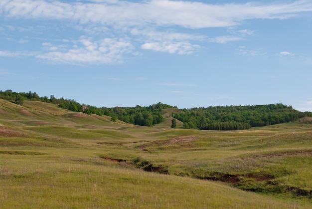 Hills covered with grass and shrubs in the spurs of the Ural mountains Bashkortostan Russia