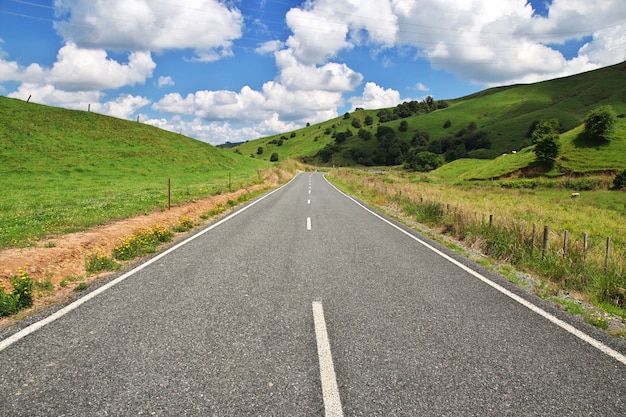 Hills and fields of New Zealand