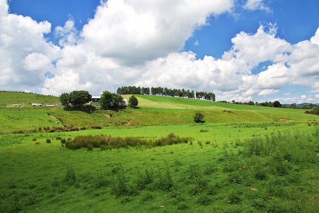 Colline e campi della nuova zelanda