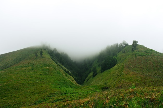 Hills in the fog