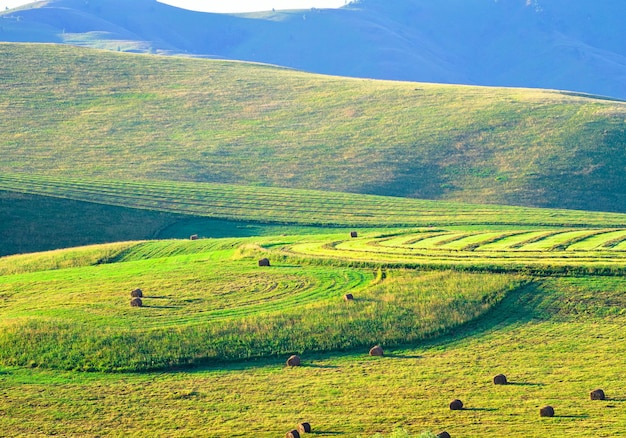 Hills in the foothills of Altai Hay rolls on agricultural fields in the morning Altai Territory