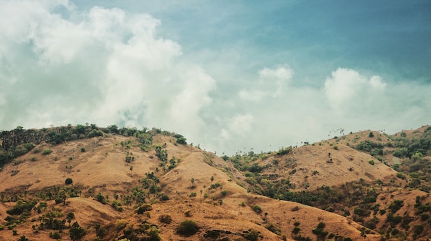 Hills on Komodo Island.