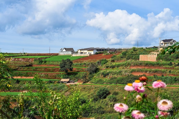 Hills and plantations of Da Lat city in Vietnam