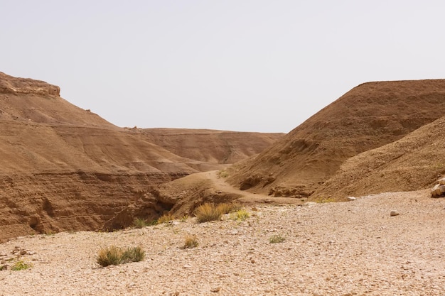 イスラエルのユダヤ砂漠の丘と岩