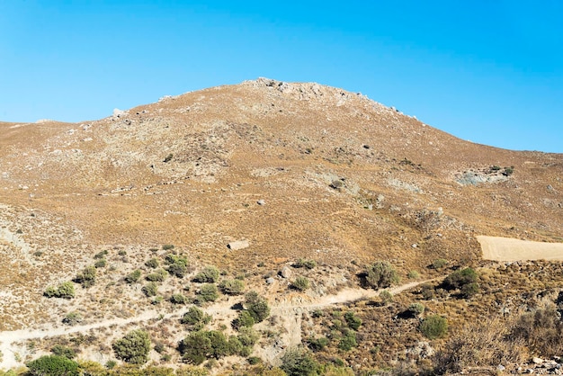 Hills with bushes on a Sunny day