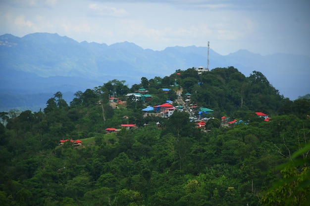 Hillside nature landscape