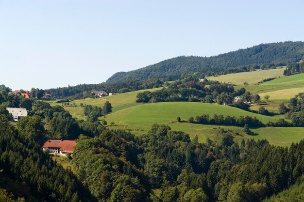 hilly Black Forest scenery