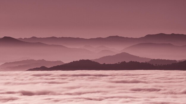 Foto paesaggio di montagna collinare immerso nella nebbia autunnale