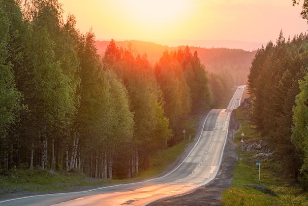 Hilly trail through the forest at sunset