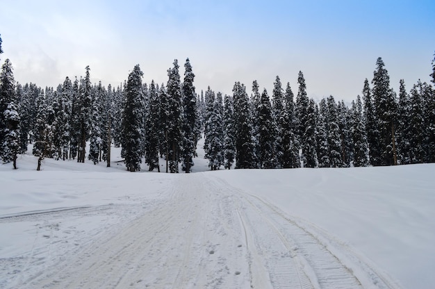 Himalaya-berg bij Kashmir Sneeuwdorp bij Gulmarg in India Landschap van prachtige natuur van de Himalaya-berg aan de hemel