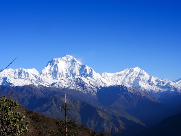 Himalaya-landschap met sneeuwdekking