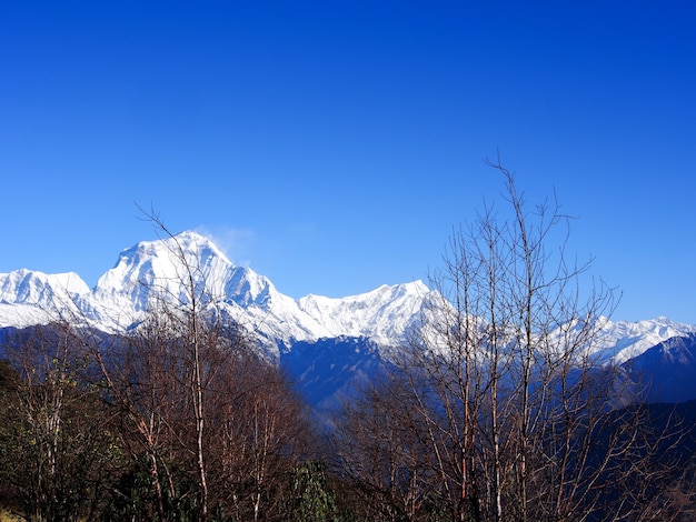 Himalaya-landschap met sneeuwdekking