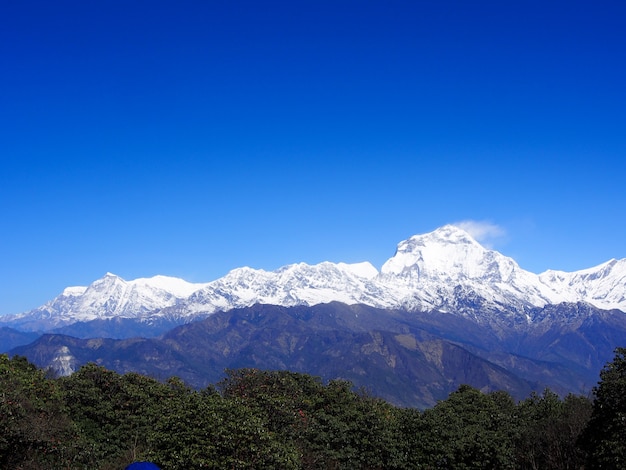 Foto scenario himalayano con manto nevoso