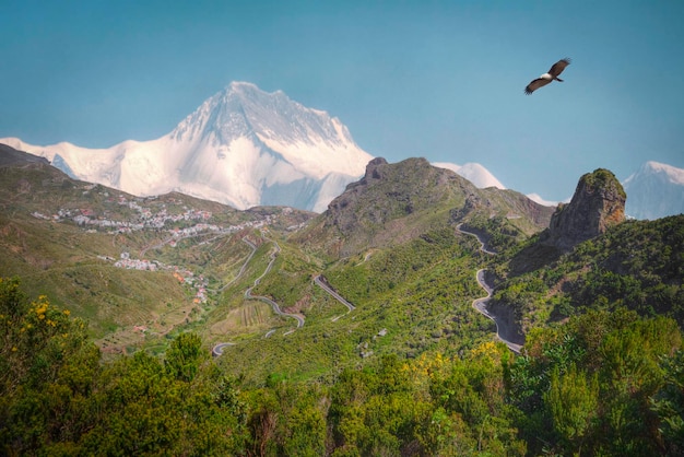 Himalayas