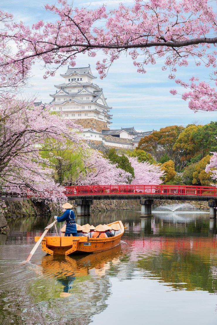 Photo 日本の大阪近郊の兵庫で春の桜が美しい姫路城。