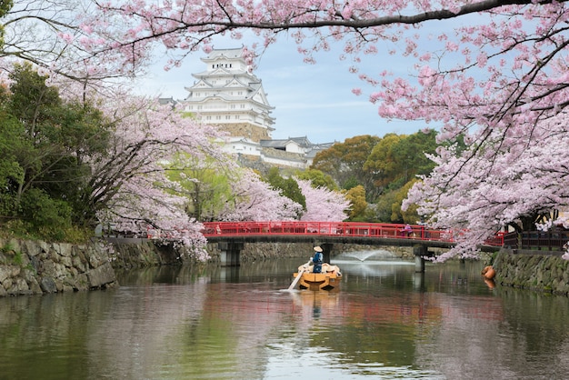 日本の大阪近郊の兵庫で春の桜が美しい姫路城。