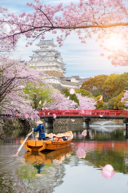 Photo himeji castle with beautiful cherry blossom in spring season at hyogo near osaka, japan.