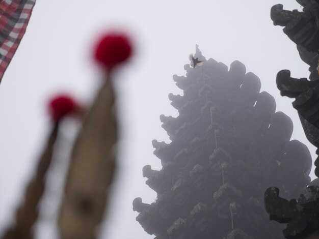 Hindu temple on the bali