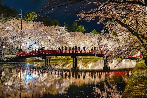 В парке Хиросаки цветут вишни. Фестиваль мацури освещается ночью. Красота, полное цветение розовых цветов.