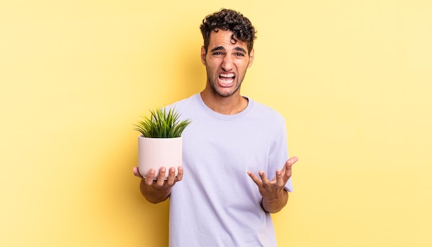 hispanic handsome man looking desperate, frustrated and stressed. decorative plant concept