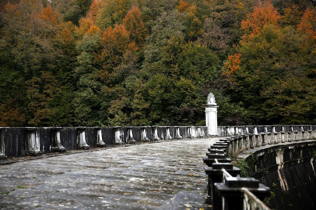 Historic bridge in the Belgrad forest in Istanbul