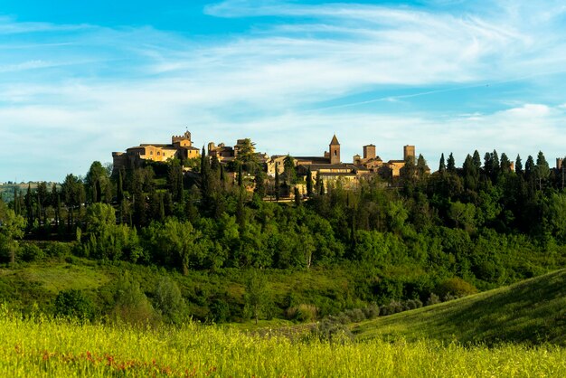 The historic city of certaldo florence seen with green wheat field