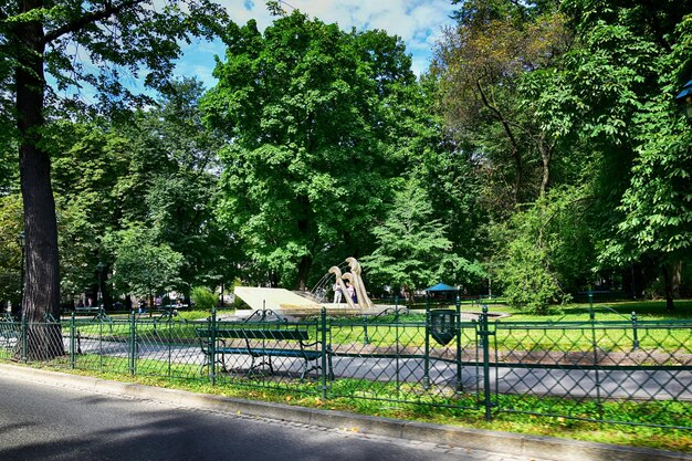 ポーランドの歴史的な都市 クラコフ 晴れた夏の休日